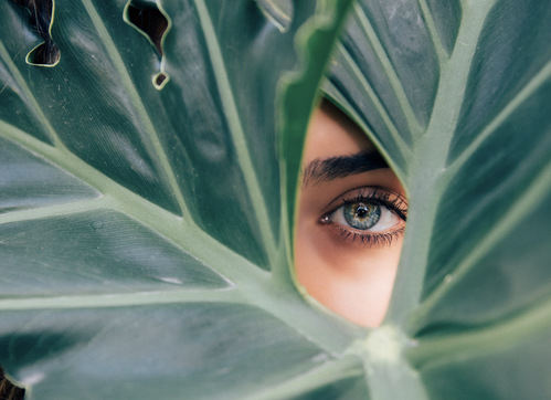图/ unsplash