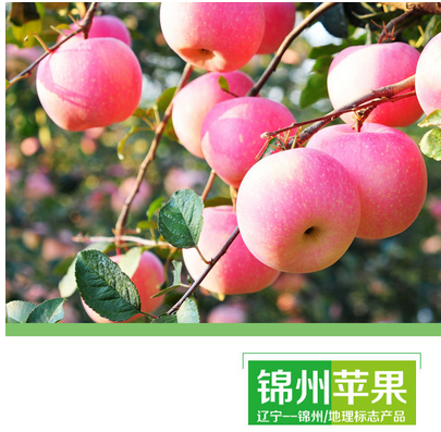 微信截图_20211012100908.png 微信截图_20211012100908.png