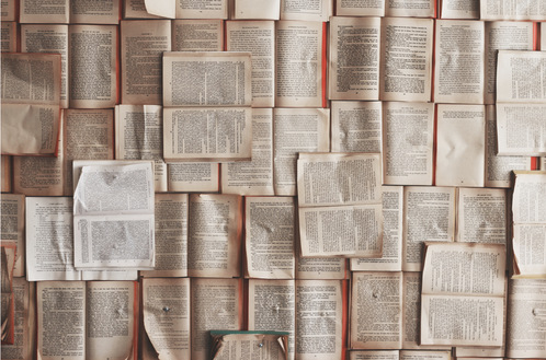 图/ unsplash