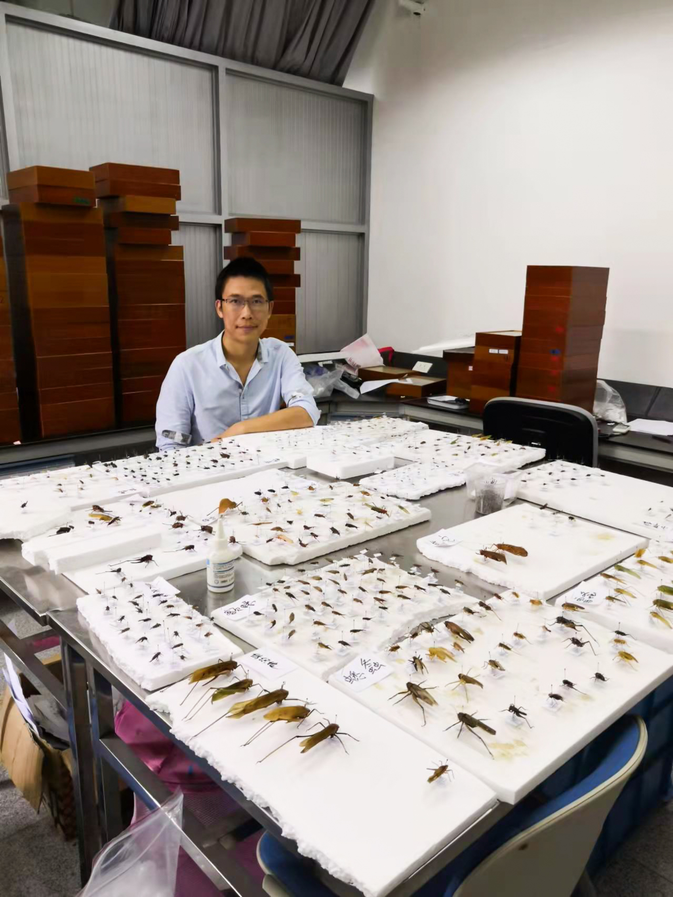 华东师大科学家拍出“全国优秀科普微视频” 让更多人走进“国虫”蟋蟀的世界