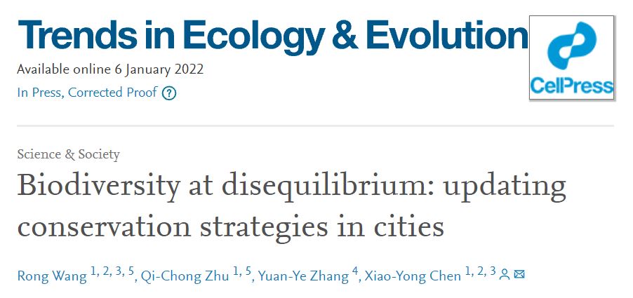 华东师大陈小勇团队提出城市生物多样性保护新策略