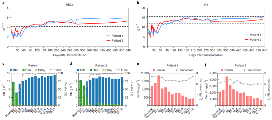 华东师大团队合作报告世界首例CRISPR基因编辑治疗β0/β0型重度地贫患儿临床结果
